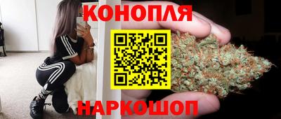 прущие крисы Кимры
