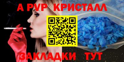 меф Кингисепп
